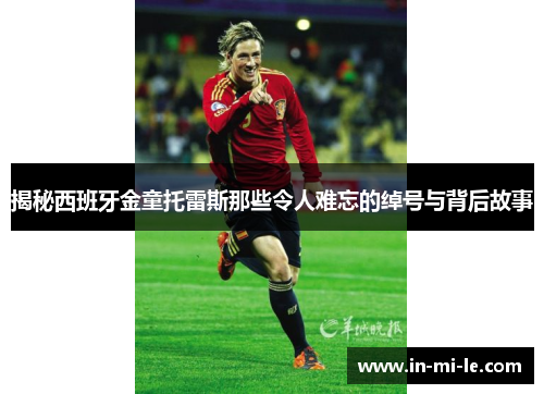 揭秘西班牙金童托雷斯那些令人难忘的绰号与背后故事