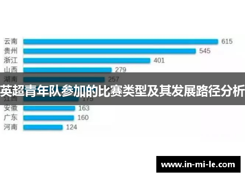 英超青年队参加的比赛类型及其发展路径分析
