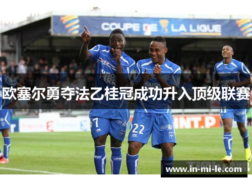 欧塞尔勇夺法乙桂冠成功升入顶级联赛