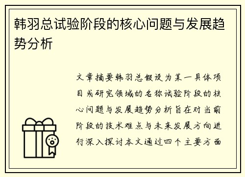 韩羽总试验阶段的核心问题与发展趋势分析